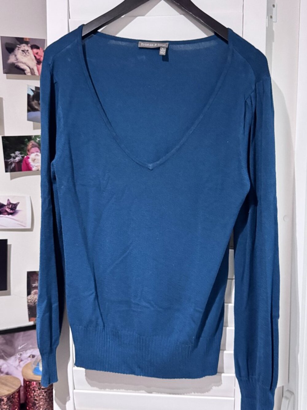 💙 Tristan & Iseut Teal V-Neck Fine Knit Sweater Classic Quiet Luxury Top ✨